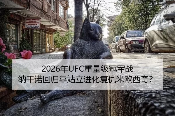 nian-zhong-liang-ji-guan-jun-zhan-na-gan-nuo-hui-gui-kao-zhan-li-jin-hua-fu-chou-mi-ou-xi-qi-2-381.jpg